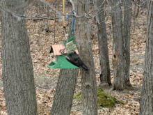 In late November