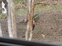 viewed from our porch, May 7, 2005