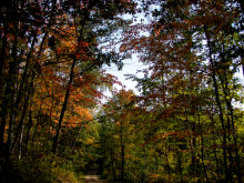 along county rd 1