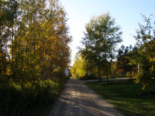 looking East on Lost Lake Trail