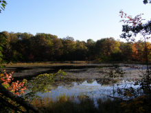 our pond
